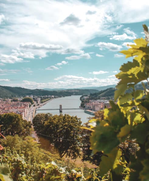 Vignobles de Seyssuel et Château des Archevêques © Vienne Condrieu Tourisme (7)