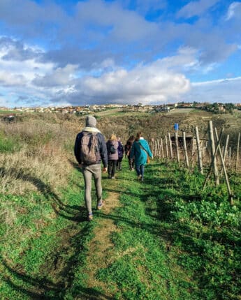 Groupe de personne de dos randonnant dans les vignes en hiver