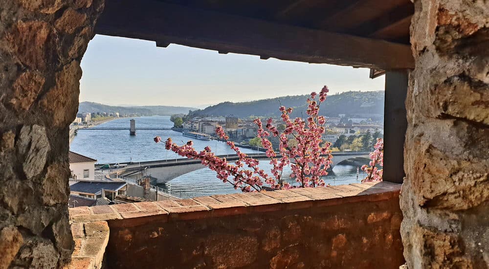 Vue depuis le jardin de la chambre d'hôtes sur le Rhône