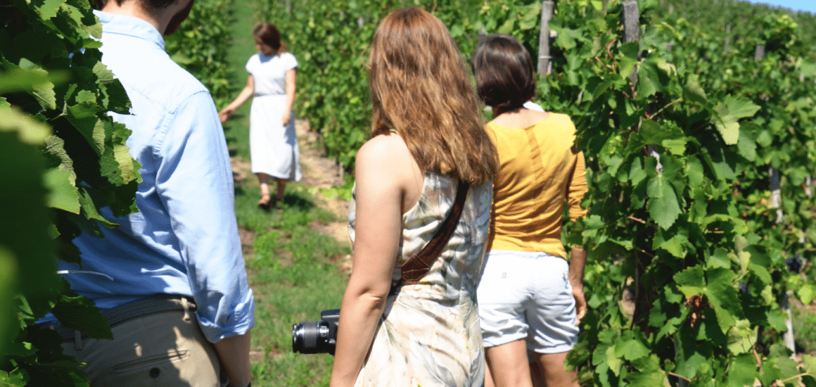 Les ambassadeurs de Vienne Condrieu explorant le vignoble