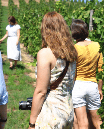 Les ambassadeurs de Vienne Condrieu explorant le vignoble