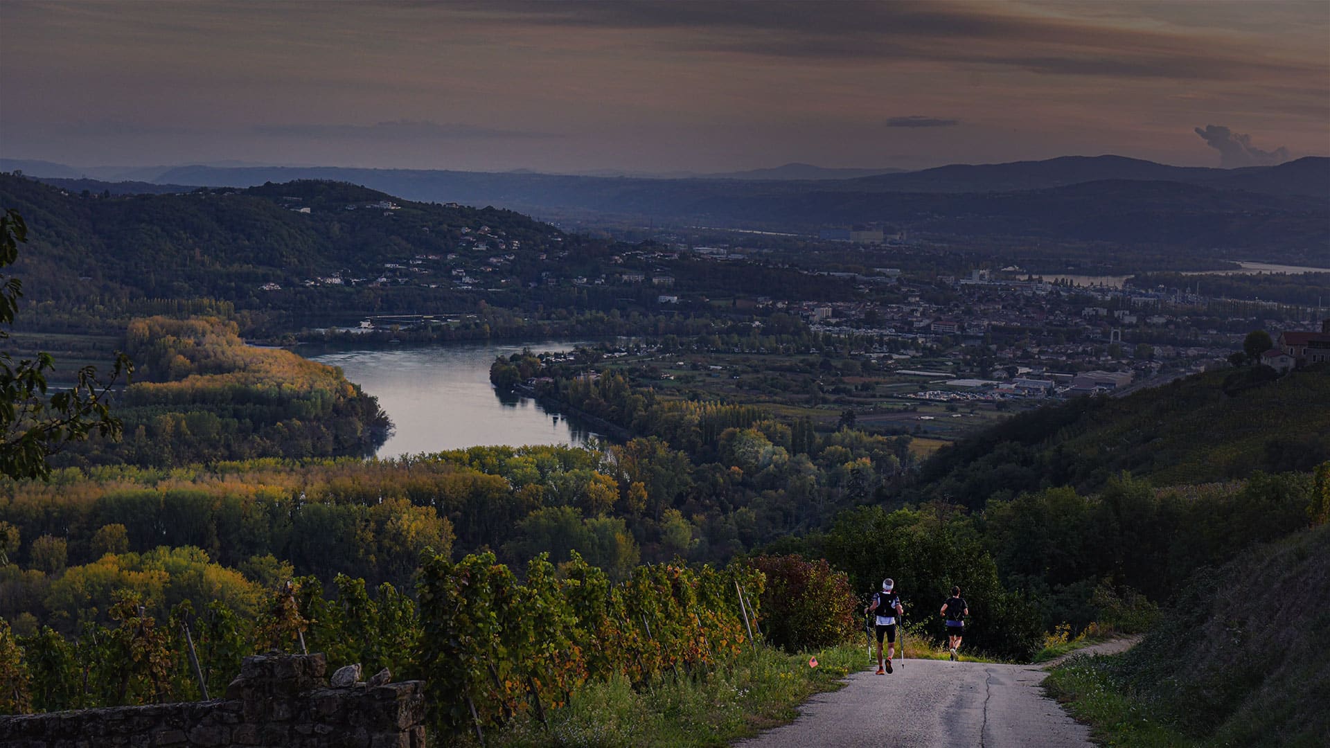 Trail en Côte-Rôtie