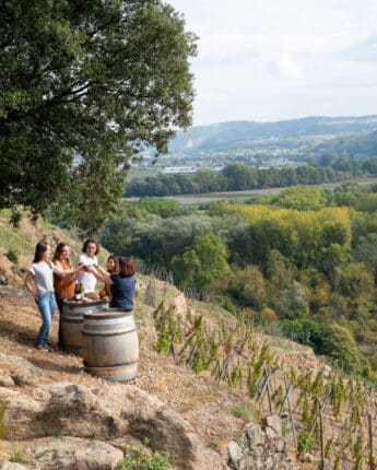 Groupe d'amis trinquant autour d'un tonneau dans un vignoble en pente