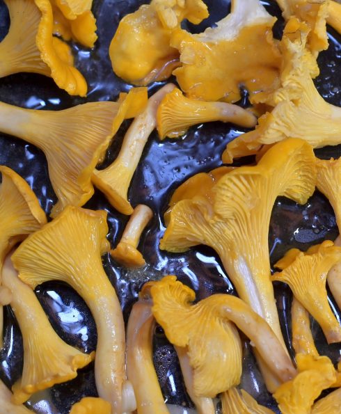 andres-siimon-jOJ-ll1QsdE-unsplash