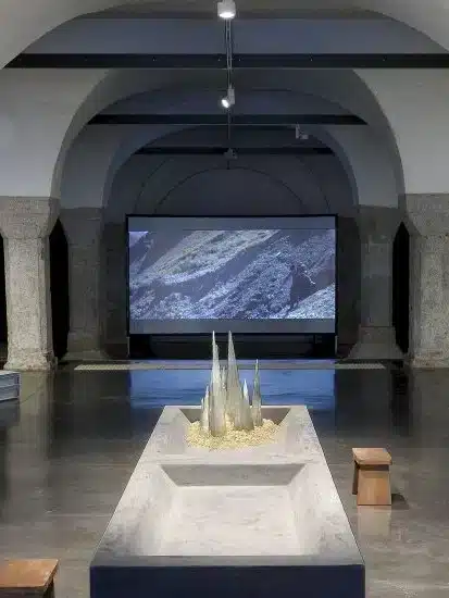 Halle des bouchers, exposition