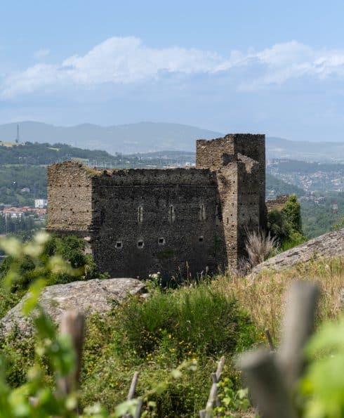 Vignbole de Seyssuel - instapades