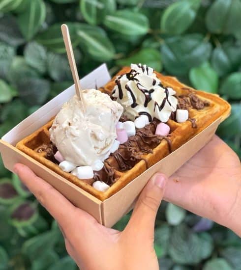 Pause gourmande - Maison Mèmlè - Artisan Glacier_Vienne - Maison Mèmlè