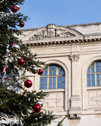 Hotel de ville avec sapin en premier plan et décoration de noël