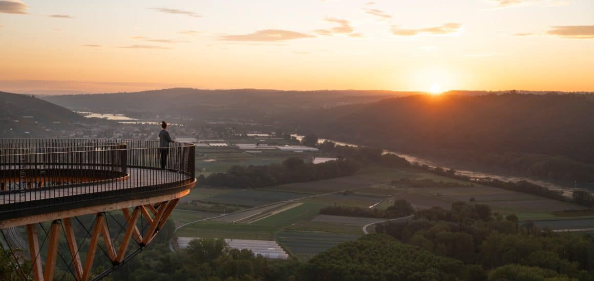 article noël au vert